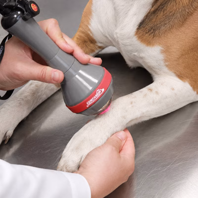 Laser Therapy in Southwest Indiana